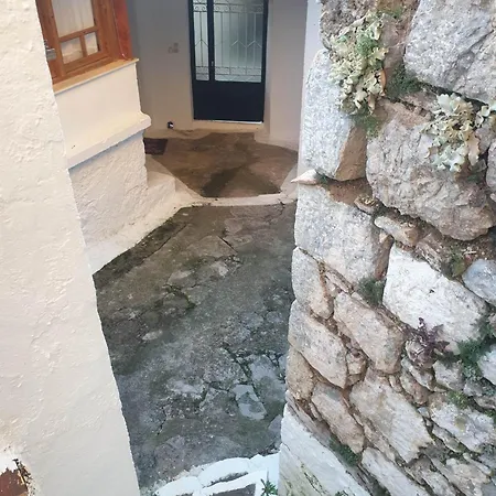 ζεστή φωλιά