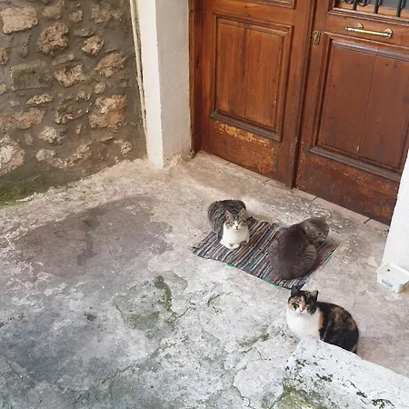 ζεστή φωλιά Διαμέρισμα